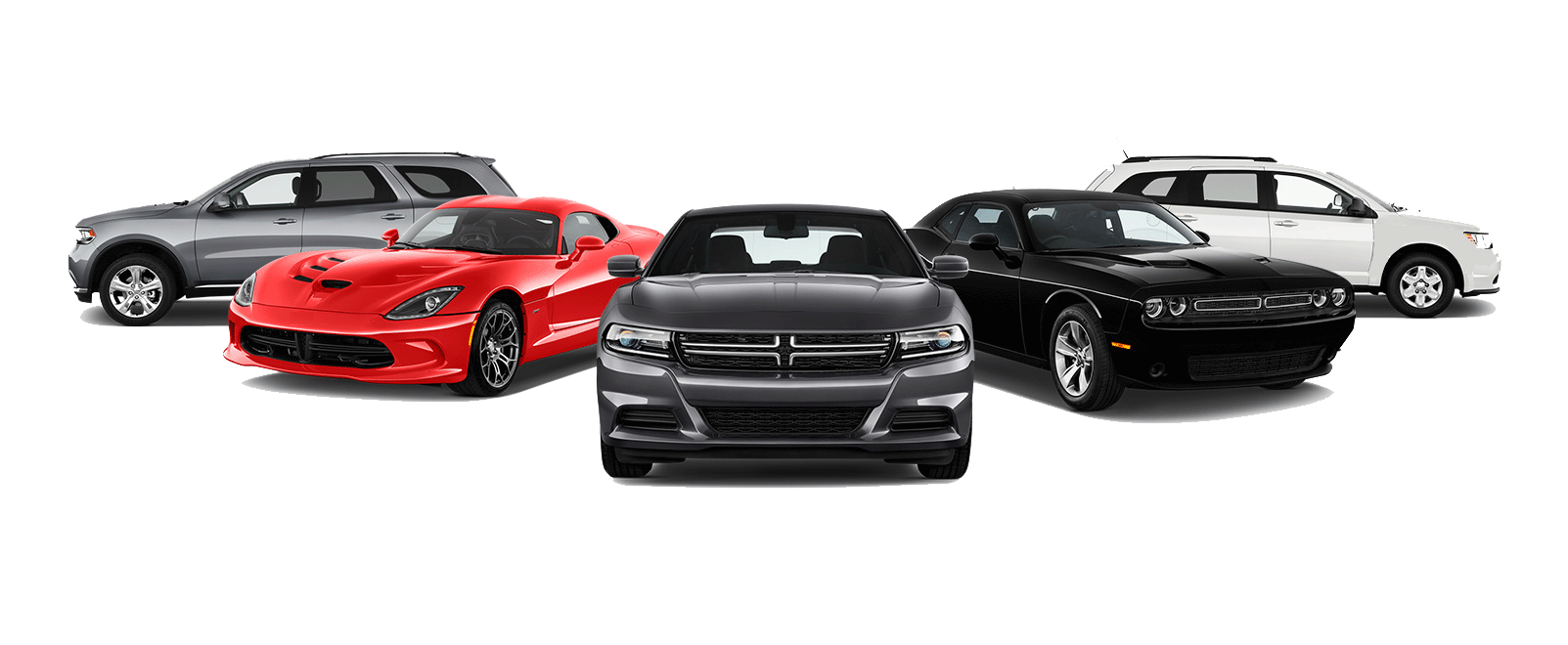 services-banner